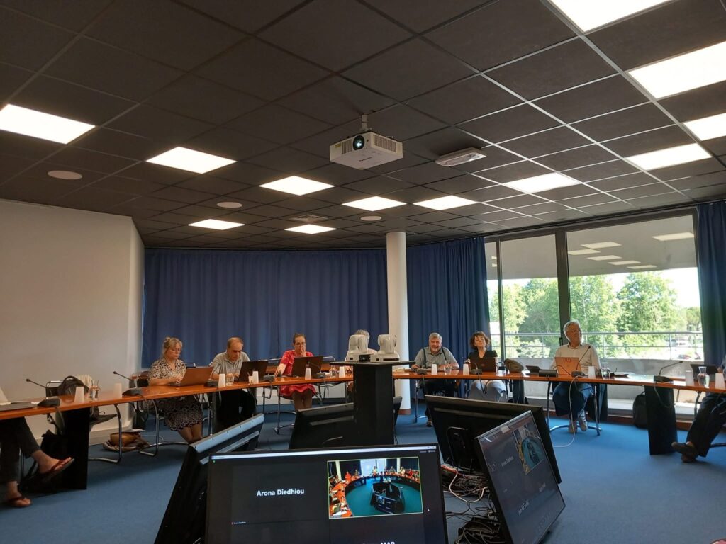 DNI at CSFD Plenary Meeting